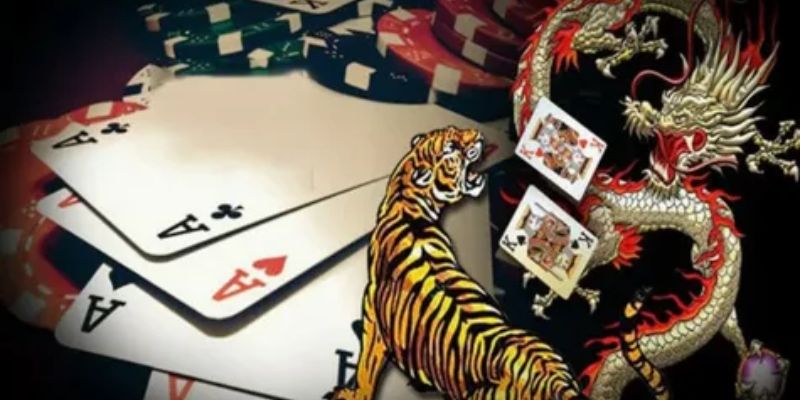 Lời khuyên cuối cùng để chơi rồng hổ luôn thắng